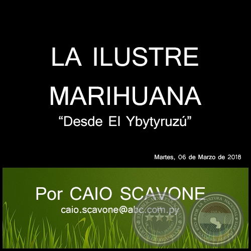 LA ILUSTRE MARIHUANA - Desde El Ybytyruzú - Por CAIO SCAVONE - Martes, 06 de Marzo de 2018